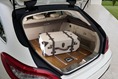 2013-Mercedes-Benz-CLS-Shooting-Brake-104