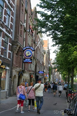 IMG_7292 IMG_7292
