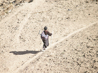 Women in field in next town. Palanquix, Solala, Guatemala. Photos by TOM HART