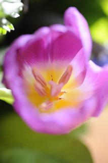 20120223_100413