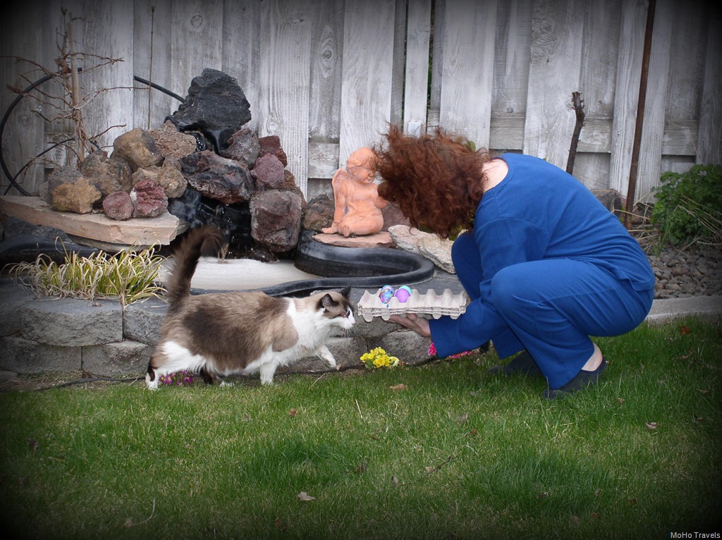 [031-2005_03%2520Easter%2520in%2520Klamath%2520%25201-1-2018%255B2%255D.jpg]