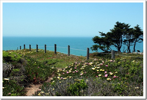 Thornton Beach Park. Проникли на трейл через забор, а тут так красиво, глаз не оторвать.