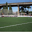 Campo de grama sintética