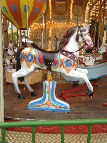 IMG_2255.jpg IMG 2255