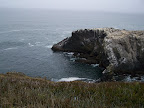 oregon_coast