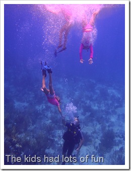 Exuma Sea Park Dive 118 Exuma Sea Park Dive 118