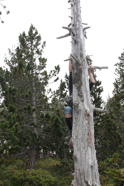 [2012VakantiePyreneeen1296.jpg]