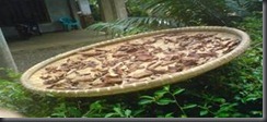 Penjemuran Kulit Singkong Penjemuran Kulit Singkong