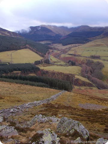 whinlatter