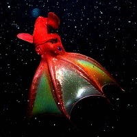 @ 10 curiosidades interessantes que provavelmente você não sabia @ 10 curiosidades interessantes que provavelmente você não sabia