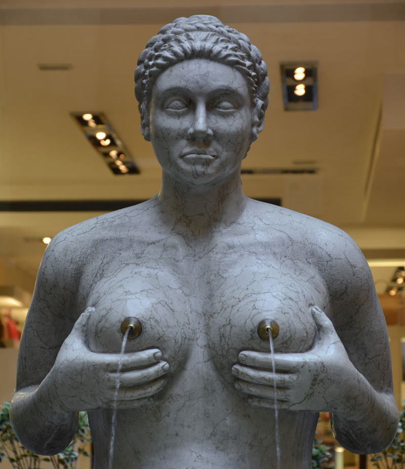 DSC_6686_1w.jpg DSC 6686 1w