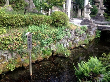 IMG_0631 IMG_0631