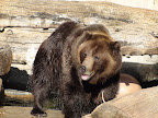 denver_zoo