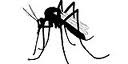 [Mosquito%255B3%255D.jpg]
