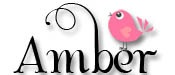 amber new sig