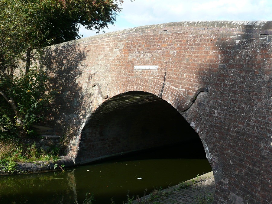 [P14704556.jpg]