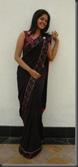bindu-madhavi in saree bindu-madhavi in saree