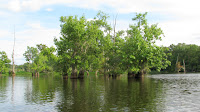 IMG_7176.JPG Photo