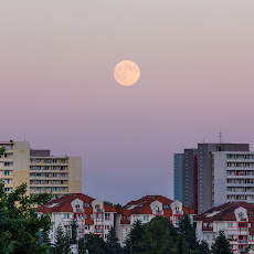 22.7.2013 2013-07-22.jpg