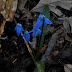 Spring%252520134