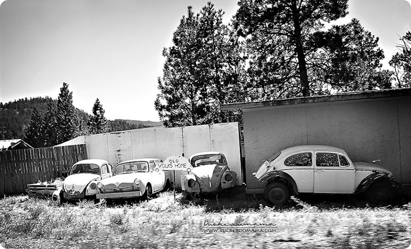 Old-Volks-Home-(1bw) Old-Volks-Home-(1bw)