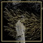 Forest Swords_Tranzparenz Forest Swords_Tranzparenz
