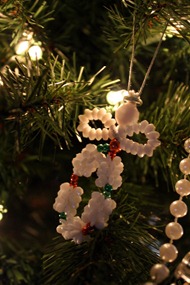 It's begining to look a lot like Christmas! (2011) 046 It's begining to look a lot like Christmas! (2011) 046