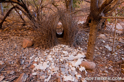 [clip_image003%255B10%255D.png]