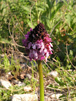 P1010073.JPG