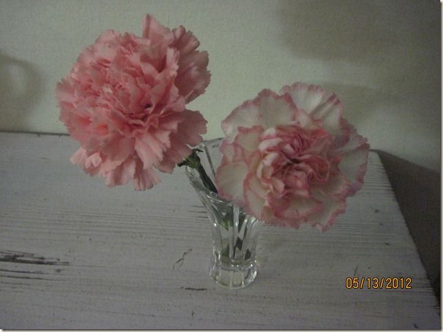 flowers2012 004