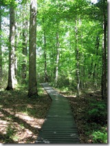 Nature Station Trails 050