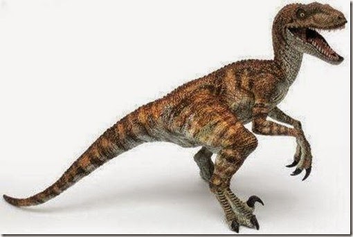 Velociraptor Velociraptor, jurassic park, comecarne, carnivoro, asesinos, cazadores, dinos