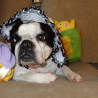 IN_MY_EASTER_BONNET2.jpg