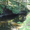 dsc01619.jpg dsc01619.jpg