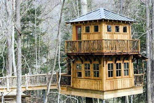 Amazing Tree Houses