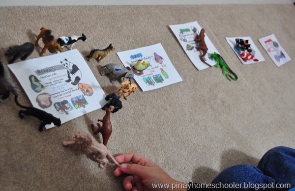 Animal Classifications