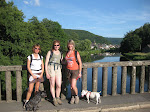 http://lh4.ggpht.com/-Cp3AFEkU0DY/TgyZNwbcEpI/AAAAAAAABHM/3cwcwIQCYX0/HautesRivieres%252520063.JPG
