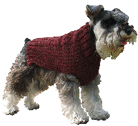 Alpakkagenser for hund: Winter Dreams
