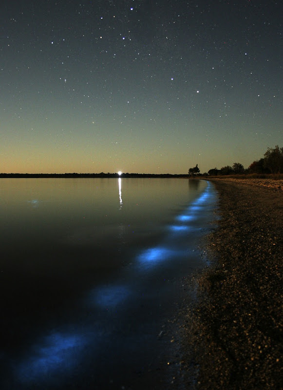 Hồ Gippsland (Úc) với làn nước phát ánh sáng xanh kỳ ảo Bioluminescence7%25255B3%25255D