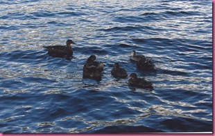 foto orta 7 foto orta 7