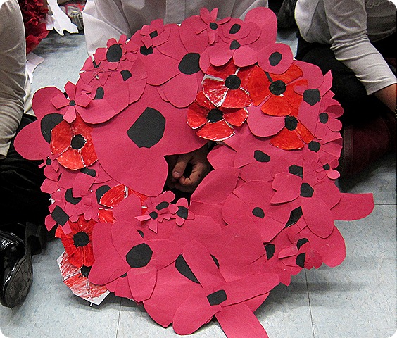 IMG_1132 IMG_1132