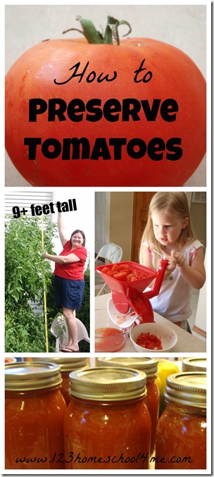 How to Preserve Tomatoes How to Preserve Tomatoes