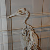 hokkaido_519.jpg