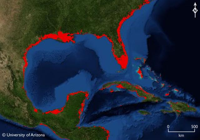 If sea levels rose to where they were during the Last Interglacial Period, large parts of the Gulf of Mexico region would be under water (red areas), including half of Florida and several Caribbean islands. Photo illustration by Jeremy Weiss