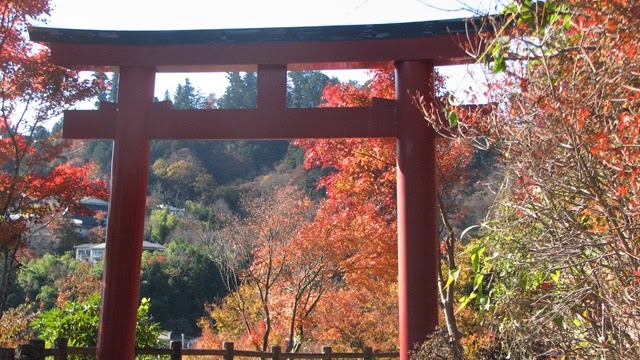 [IMG_4049%255B3%255D.jpg]