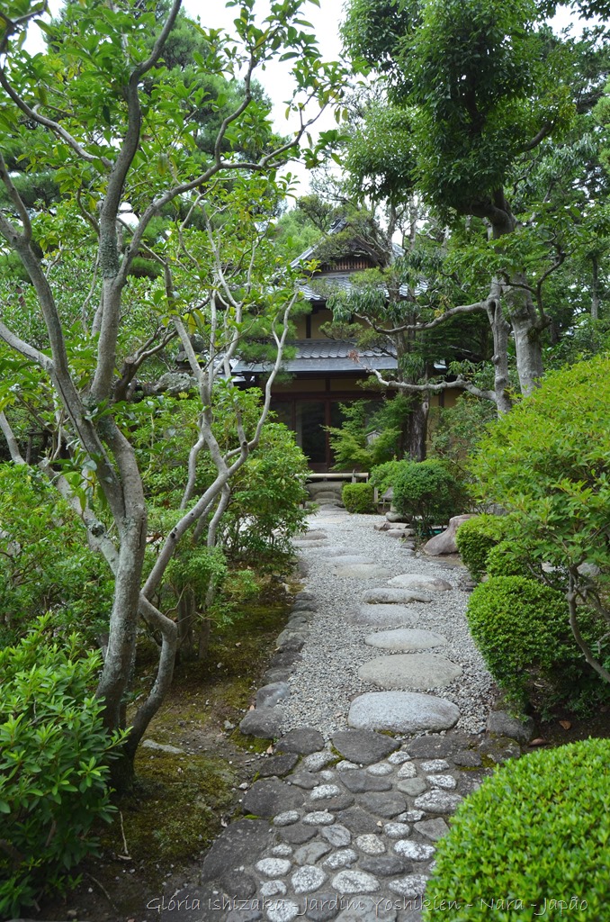 [Gl%25C3%25B3ria%2520Ishizaka%2520-%2520Nara%2520-%2520JP%2520_%25202014%2520-%252016%255B3%255D.jpg]