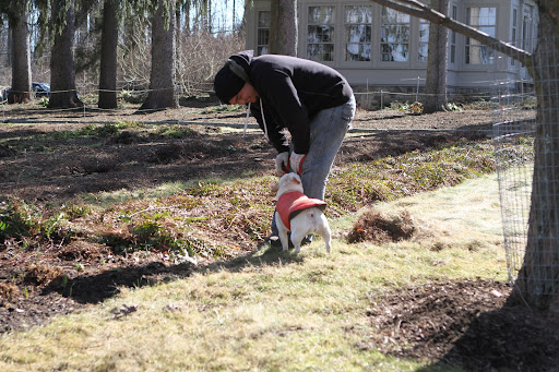 Hi, Wilmer! I see you're busy cleaning out the lily beds. You're doing a good job cutting everything back. Hi, Wilmer! I see you're busy cleaning out the lily beds. You're doing a good job cutting everything back.