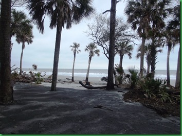 Hunting Island with Nancy & Bill (11)