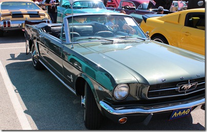 IMG_1207 IMG_1207