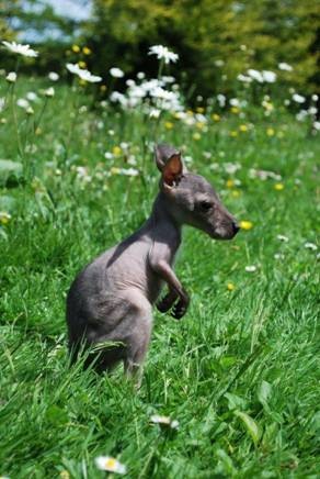 [clip_image006%255B11%255D.jpg]